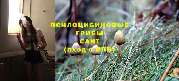 спиды Армянск