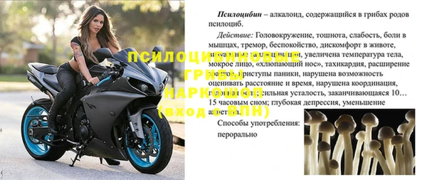 apvp Арсеньев